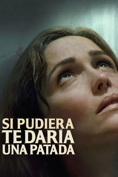 Si pudiera, te daría una patada Poster — Now playing in Bogotá 2026-03-14