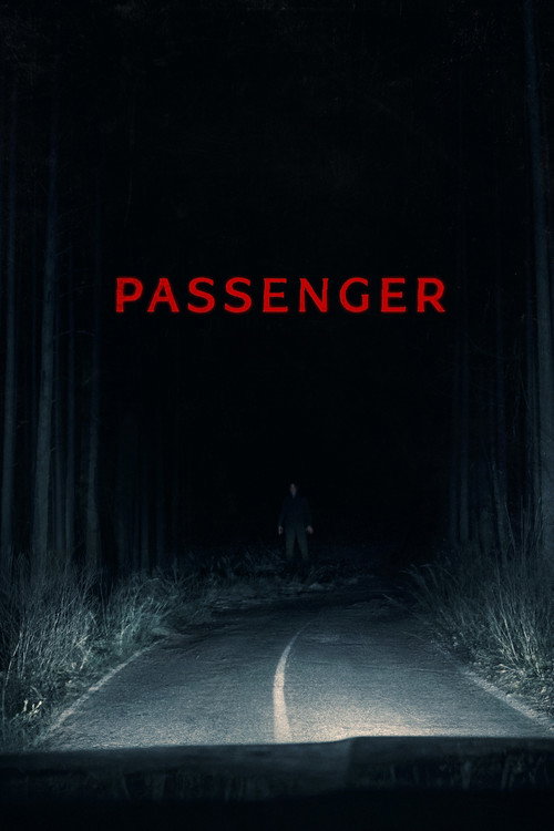 El pasajero del diablo Poster — Now playing in Cali 2026-05-21